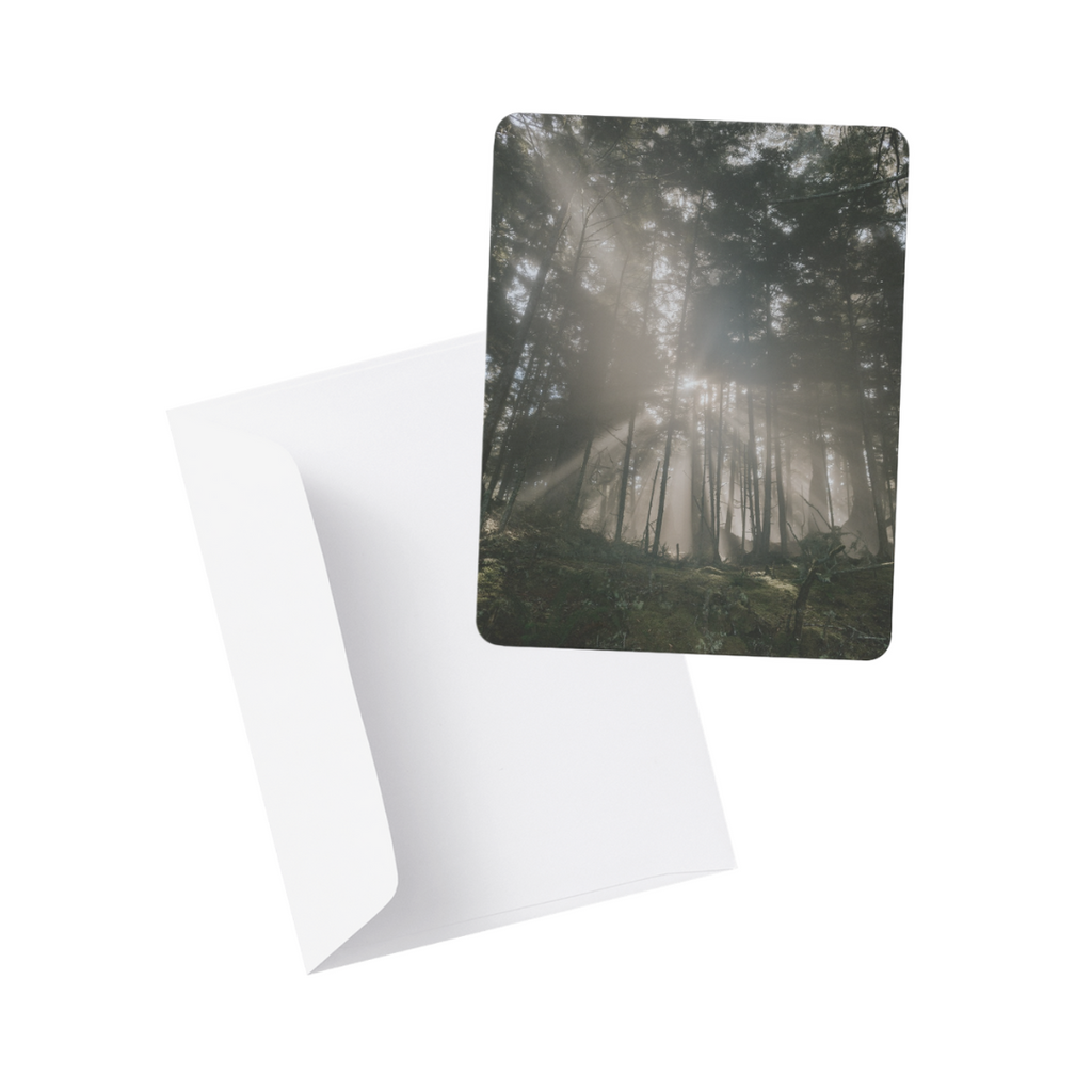 Note Card / Postcard - Kimberley Kufaas Photography Kimberly Kufaas Photography