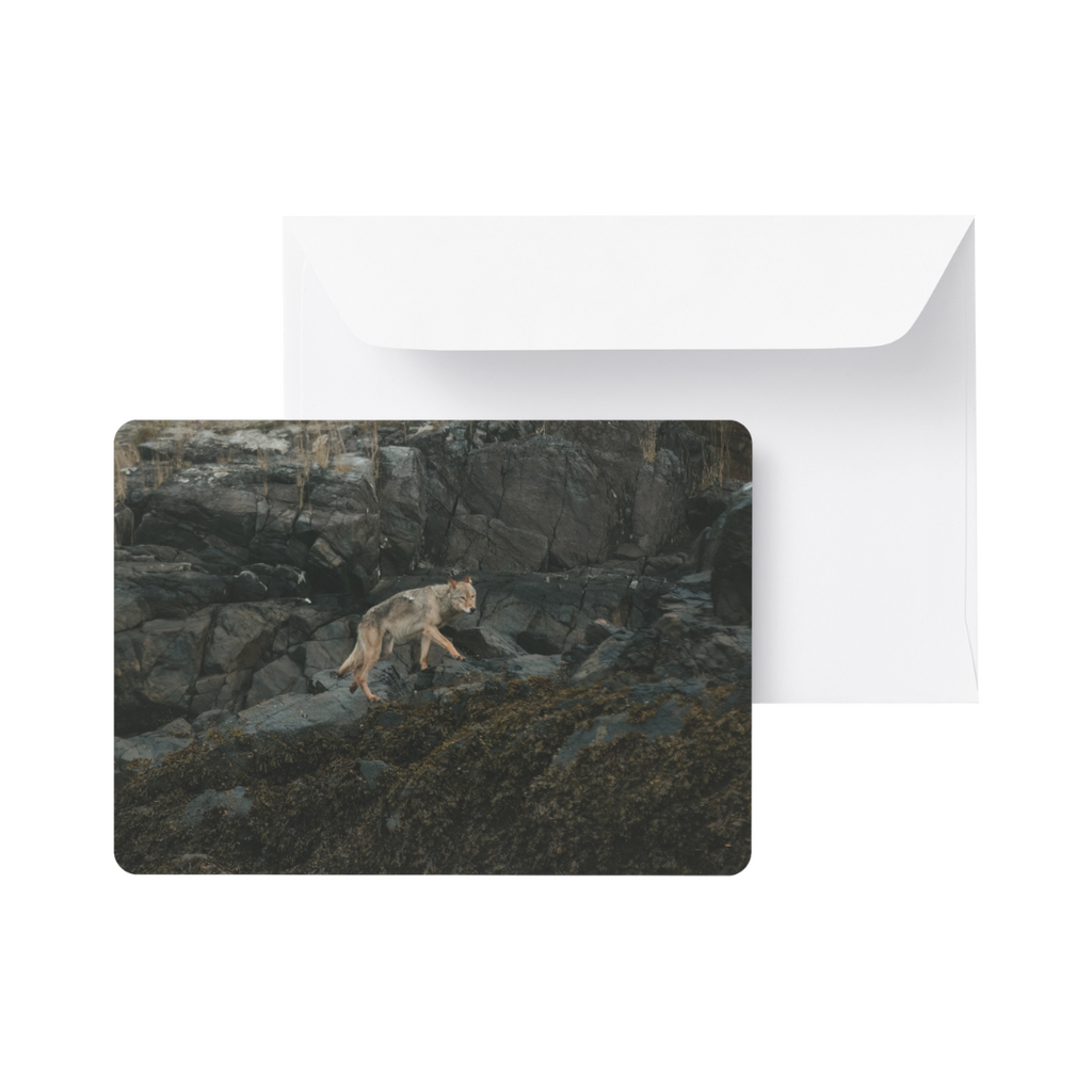 Note Card / Postcard - Kimberley Kufaas Photography Kimberly Kufaas Photography