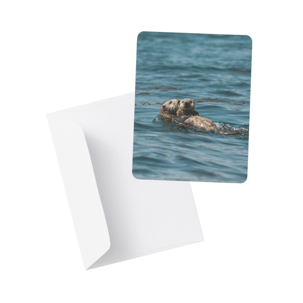 Note Card / Postcard - Kimberley Kufaas Photography Kimberly Kufaas Photography