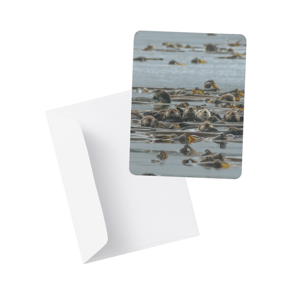 Note Card / Postcard - Kimberley Kufaas Photography Kimberly Kufaas Photography