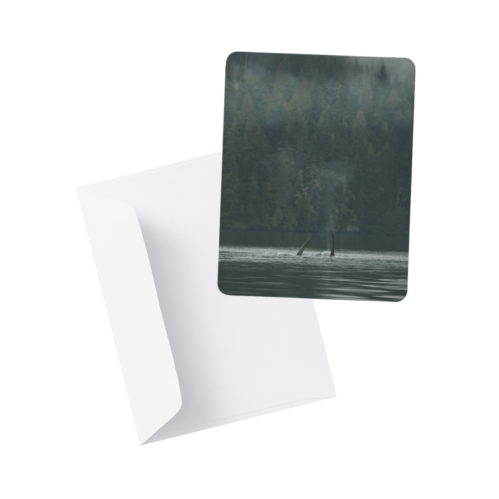 Note Card / Postcard - Kimberley Kufaas Photography Kimberly Kufaas Photography