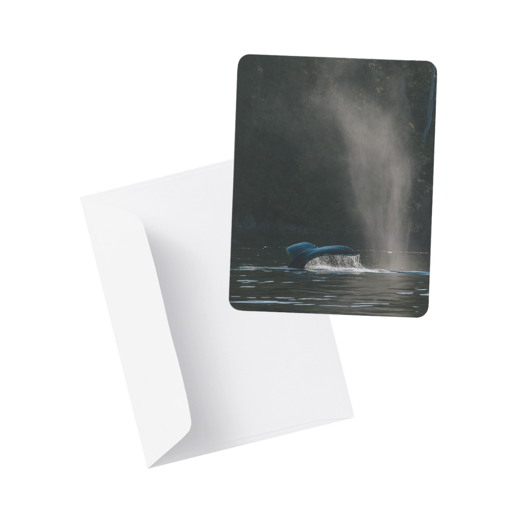 Note Card / Postcard - Kimberley Kufaas Photography Kimberly Kufaas Photography