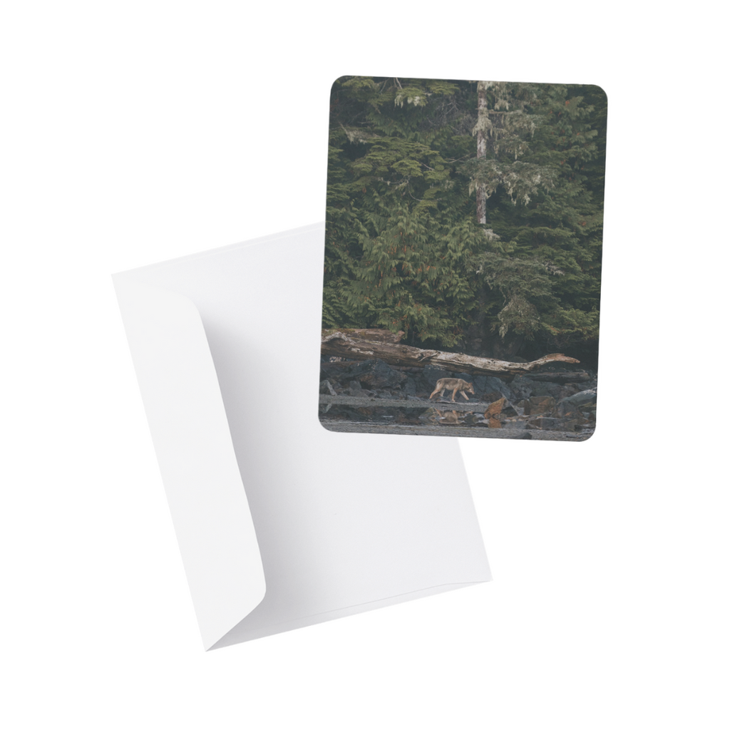 Note Card / Postcard - Kimberley Kufaas Photography Kimberly Kufaas Photography