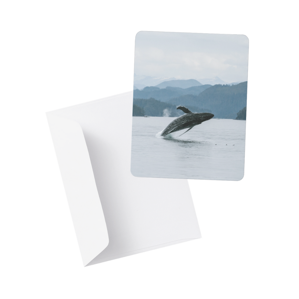 Note Card / Postcard - Kimberley Kufaas Photography Kimberly Kufaas Photography