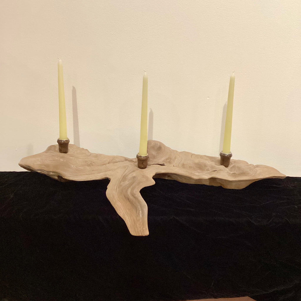 Driftwood Sculpture - Fluida Wayne Paquin