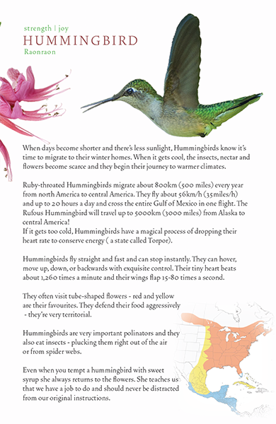 A Little Book of Bird Medicines Pass the Feather