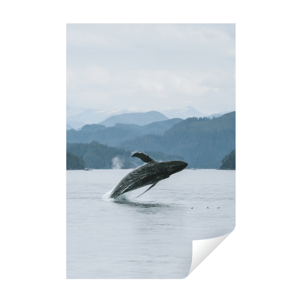 Print - Kimberley Kufaas Kimberly Kufaas Photography