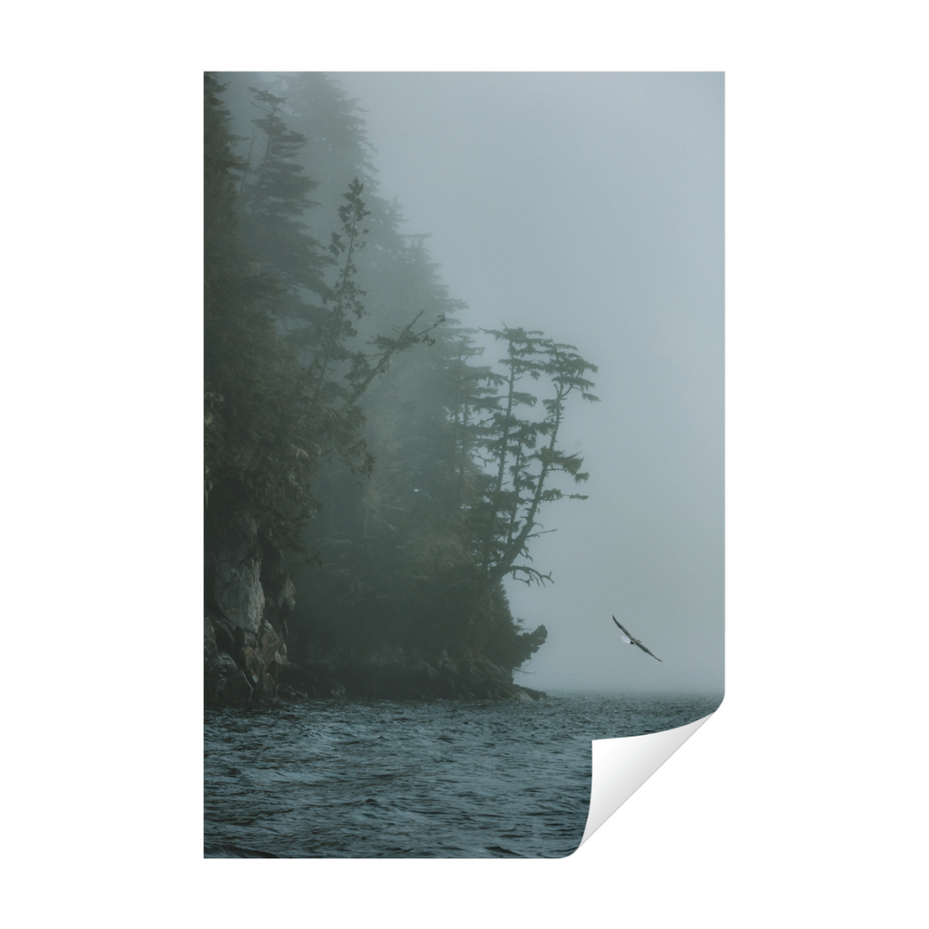 Print - Kimberley Kufaas Kimberly Kufaas Photography