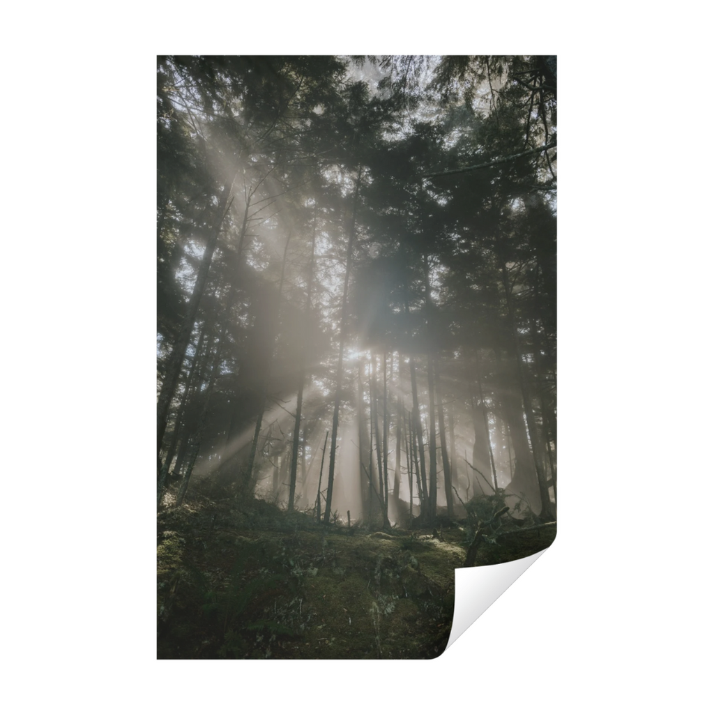 Print - Kimberley Kufaas Kimberly Kufaas Photography